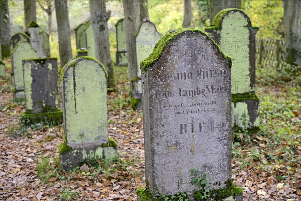 Jewish cemetery, weathered gravestones, wine village Beilstein, Moselle, Rhineland-Palatinate, Germany, Europe