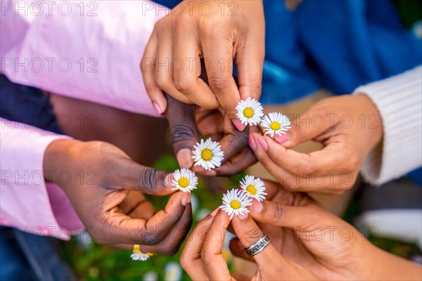 Top view of three unrecognizable african young female friends holding flowers and putting together in circle