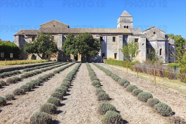 Vincent van Gogh lived until his death in St Paul Hospital, Saint-Remy-de-Provence, Provence-Alpes-Cote d'Azur region, Deparment Bouches-du-Rhone, Provence, France, Europe