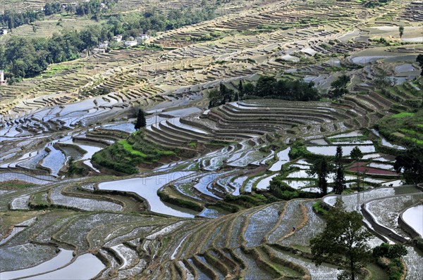 Yuanyang rice terrace, china