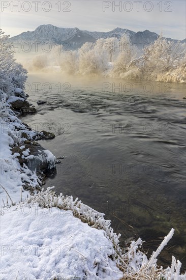 River in the morning light in front of mountains, winter, hoarfrost, Loisach, view of Herzogstand and Heimgarten, Bavarian Alps, Bavaria, Germany, Europe