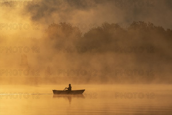 Fisherman in morning light on lake, fog, backlight, fishing, Lake Kochel, Alpine foothills, Bavaria, Germany, Europe