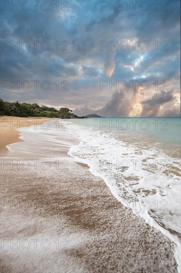 Lonely, wide sandy beach with turquoise-coloured sea. Tropical plants in a bay at sunset in the Caribbean. Plage de Cluny, Basse Terre, Guadeloupe, French Antilles, North America