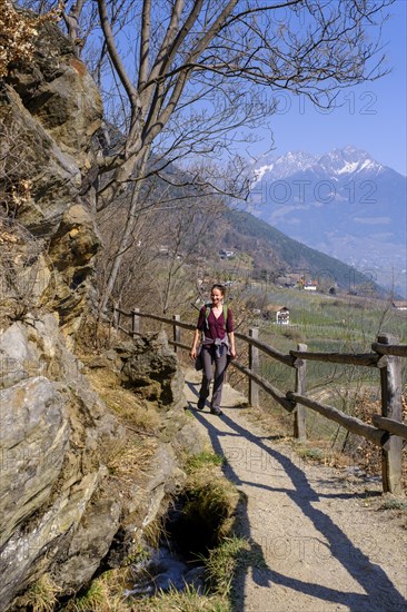 Partschinser Waalweg, Partschinser Sagenweg, Partschins, Vinschgau Valley, South Tyrol, Italy, Europe
