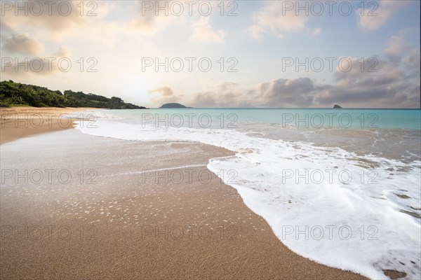 Lonely, wide sandy beach with turquoise-coloured sea. Tropical plants in a bay at sunset in the Caribbean. Plage de Cluny, Basse Terre, Guadeloupe, French Antilles, North America