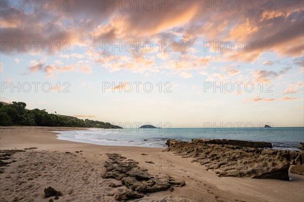 Lonely, wide sandy beach with turquoise-coloured sea. Tropical plants in a bay at sunset in the Caribbean. Plage de Cluny, Basse Terre, Guadeloupe, French Antilles, North America