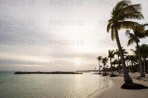 Caribbean dream beach with palm trees, white sandy beach and turquoise-coloured, crystal-clear water in the sea. Shallow bay at sunset. Plage de Sainte Anne, Grande Terre, Guadeloupe, French Antilles, North America