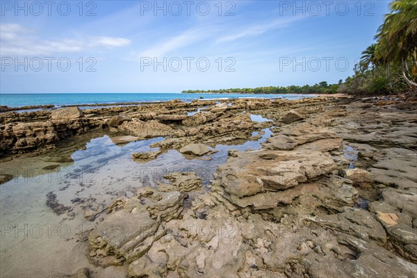 Lonely, wide sandy beach with turquoise-coloured sea. Tropical plants in a bay in the Caribbean sunshine. Plage de Cluny, Basse Terre, Guadeloupe, French Antilles, North America