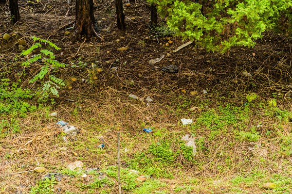 Forest ground with scattered trash highlighting environmental neglect and pollution, in South Korea