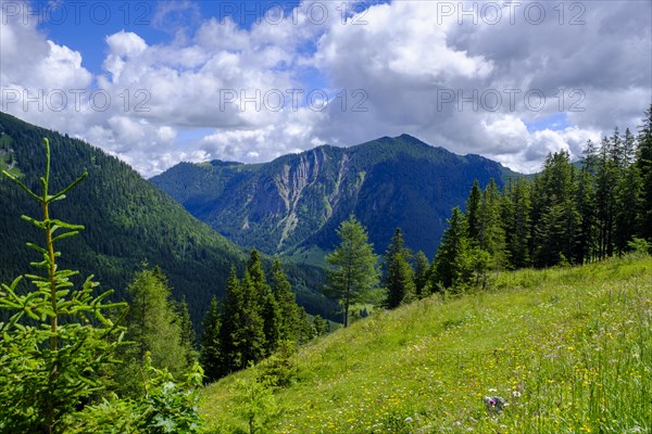 Am Stuempfling, Spitzingsee area, Bavarian local mountains, Alps, Upper Bavaria, Bavaria, Germany, Europe