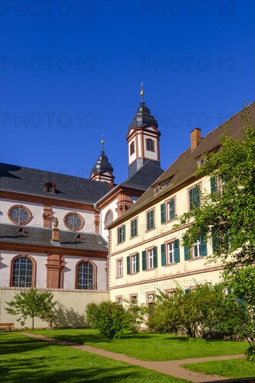 Monastery church, abbey church, Amorbach Monastery, Mainfranken, Lower Franconia, Franconia, Bavaria, Germany, Europe
