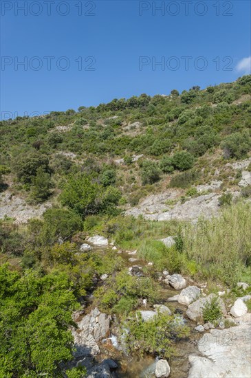 Landscape by the river La Garde, Grimaud-Village, Var, Provence-Alpes-Cote d'Azur, France, Europe