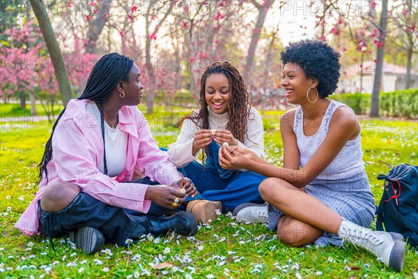 African friends chatting sitting on a park full of flowers on the grass in spring