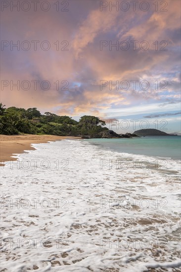 Lonely, wide sandy beach with turquoise-coloured sea. Tropical plants in a bay at sunset in the Caribbean. Plage de Cluny, Basse Terre, Guadeloupe, French Antilles, North America