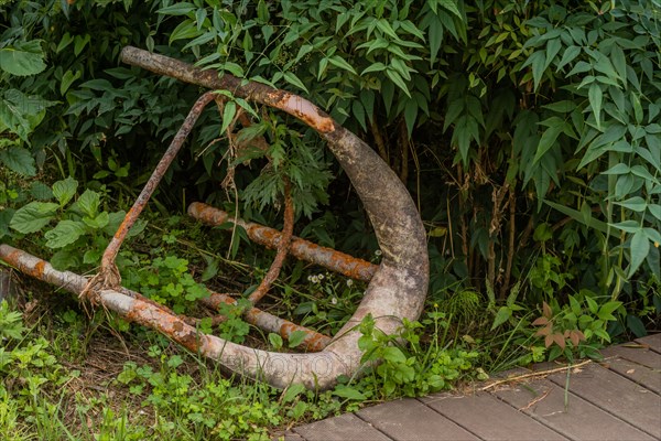 Rusted and overgrown equipment abandoned in nature, in South Korea