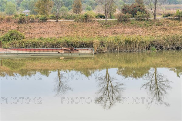 Calm waters reflecting trees and a boat moored beside reeds under a cloudy sky, in South Korea