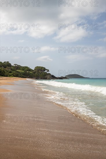 Lonely, wide sandy beach with turquoise-coloured sea. Tropical plants in a bay in the Caribbean sunshine. Plage de Cluny, Basse Terre, Guadeloupe, French Antilles, North America