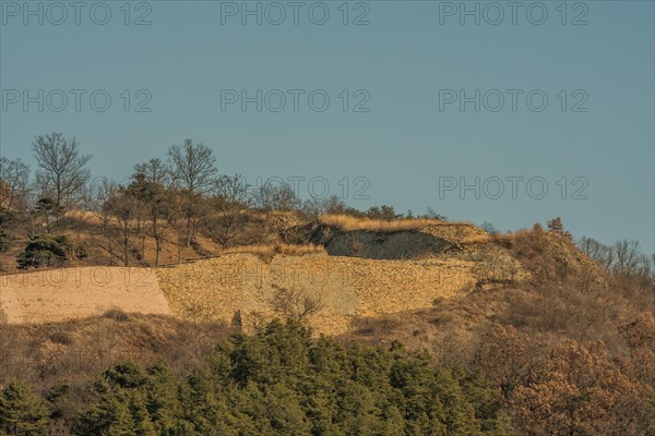 Section of mountain forest wall made of flat stones located in Boeun, South Korea, Asia