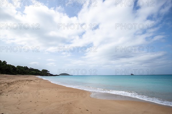 Lonely, wide sandy beach with turquoise-coloured sea. Tropical plants in a bay in the Caribbean sunshine. Plage de Cluny, Basse Terre, Guadeloupe, French Antilles, North America