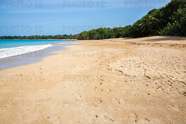 Lonely, wide sandy beach with turquoise-coloured sea. Tropical plants in a bay in the Caribbean sunshine. Plage de Cluny, Basse Terre, Guadeloupe, French Antilles, North America