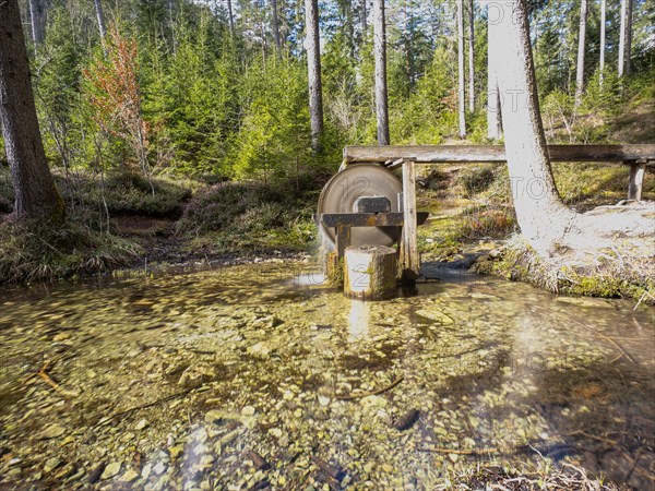 Laming flows into the Kreuzteich, small mill wheel, near Tragoess, Styria, Austria, Europe