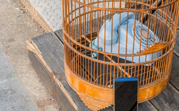 Modern smart phone sitting outside, blue rotary phone sitting inside birdcage on wooden step in Seoul, South Korea, Asia