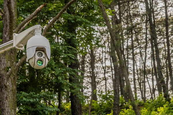 Surveillance camera in woodland public park with trees in background in South Korea