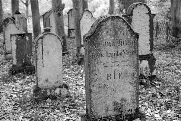 Jewish cemetery, weathered gravestones, black and white, wine village Beilstein, Moselle, Rhineland-Palatinate, Germany, Europe