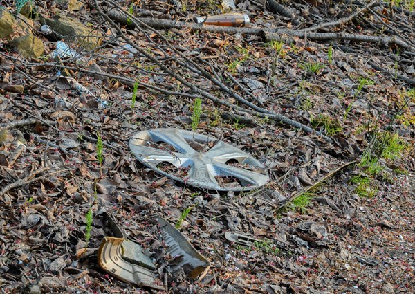 A discarded metallic hubcap lies on the forest floor, surrounded by twigs and leaves, in South Korea