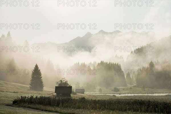 Sunrise and morning fog, Geroldsee or Wagenbruechsee, Kruen near Mittenwald, Werdenfelser Land, Upper Bavaria, Bavaria, Germany, Europe