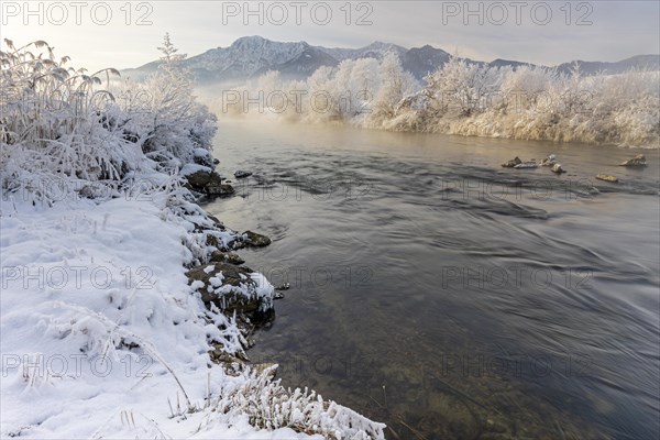 River in the morning light in front of mountains, winter, hoarfrost, Loisach, view of Herzogstand and Heimgarten, Bavarian Alps, Bavaria, Germany, Europe