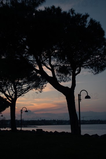 Silhouettes of trees and street lamps in front of a sunset sky, Sirmione, Lake Garda, Italy, Europe