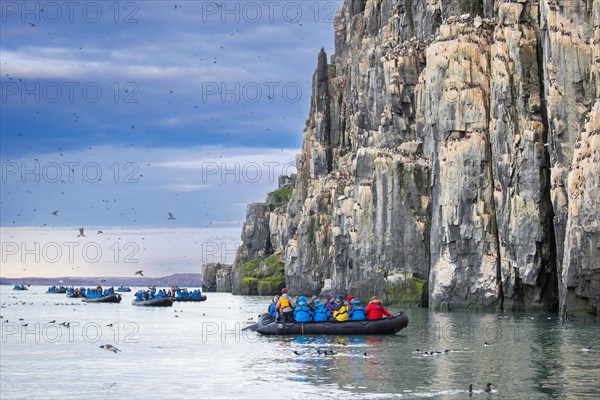 Eco-tourists in Zodiac boats watching thick-billed murres, Bruennich's guillemots (Uria lomvia) in Hinlopen Strait in summer, Svalbard, Spitsbergen