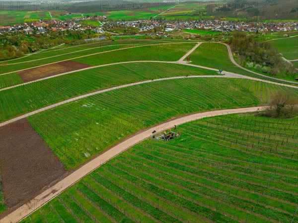 Aerial view of empty paths between green vineyard fields, village in the background, Jesus Grace Chruch, Weitblickweg, Easter hike, Hohenhaslach, Germany, Europe