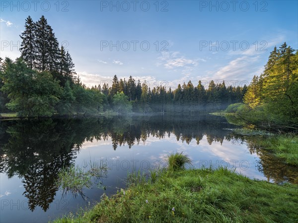 Small lake in the Thuringian Forest in the morning light, spruce forest reflected, Thuringia, Germany, Europe