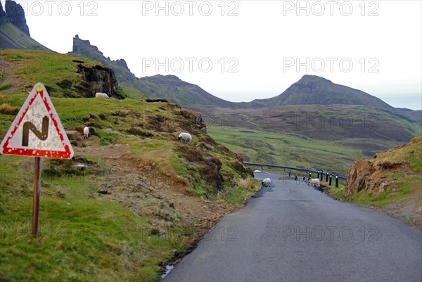 Narrow road leads through a barren mountain landscape, Quiraing, Isle of Skye, Hebrides, Scotland, Great Britain