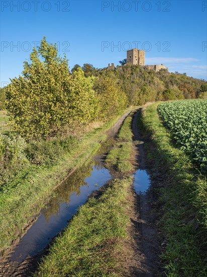 Landscape with field path in autumn, behind the ruins of Arnstein Castle, Sylda-Harkerode, Mansfeld-Suedharz, Saxony-Anhalt, Germany, Europe