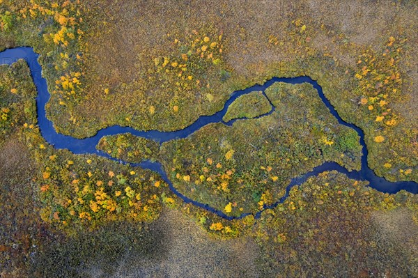 Aerial view over meandering stream in moorland in autumn, fall at Hedmark, Innlandet, Eastern Norway