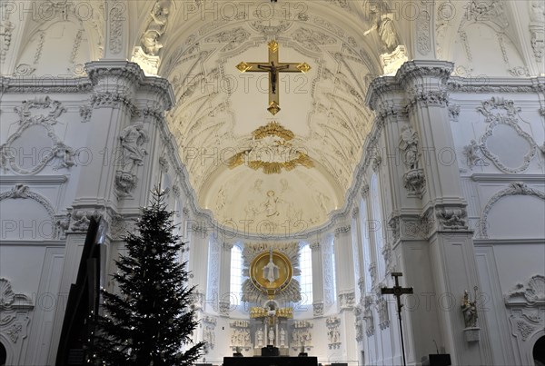 St Kilian's Cathedral in Wuerzburg, Wuerzburg Cathedral, view of the altar area of a baroque church with golden decoration and white walls, Wuerzburg, Lower Franconia, Bavaria, Germany, Europe