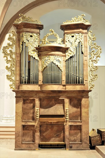 St Kilian's Cathedral, St Kilian's Cathedral, Wuerzburg, Baroque church organ with gold decoration, traditional musical instrument, Wuerzburg, Lower Franconia, Bavaria, Germany, Europe
