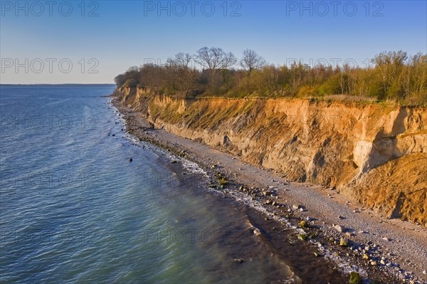 Aerial view over beach and Brodtener Ufer, Brodten Steilufer, cliff in the Bay of Luebeck along the Baltic Sea at sunrise, Schleswig-Holstein, Germany, Europe