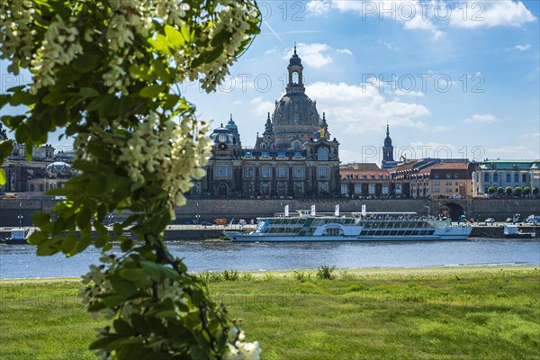Church of Our Lady and Bruehl's Terrace seen from the opposite bank of the Elbe, Dresden, Saxony, Germany, Europe