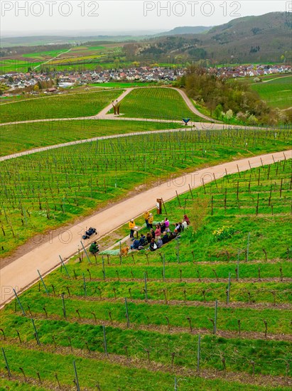 People walking on a path that winds through a vineyard, Jesus Grace Chruch, Weitblickweg, Easter hike, Hohenhaslach, Germany, Europe