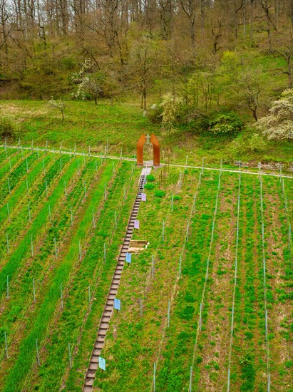 People admire a work of art in the middle of a green vineyard, Jesus Grace Chruch, Weitblickweg, Easter hike, Hohenhaslach, Germany, Europe