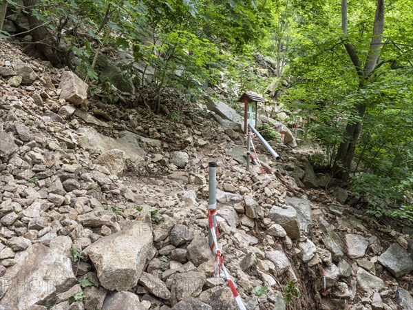 Landslide, mudflow, landslide, rockfall, buried hiking trail in the Bode Valley between Thale and Treseburg, Harz National Park, Thale, Saxony-Anhalt, Germany, Europe