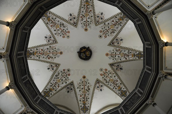 Langenburg Castle, view upwards to an artistically decorated vaulted ceiling in an interior room, Langenburg Castle, Langenburg, Baden-Wuerttemberg, Germany, Europe