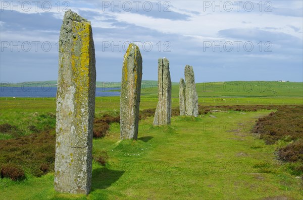 Standing stones from the Stone Age on a green meadow, Unesco World Heritage Site, Ring of Brodgar, Stromness, Orkney Islands, Scotland, UK