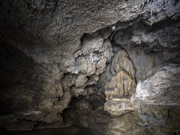 Geotope Doktorshoehle, bizarre stalactites, Muggendorf, Franconian Switzerland, Upper Franconia, Franconia, Bavaria, Germany, Europe