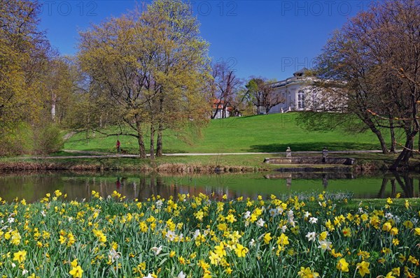 Blooming tulips in front of the Oker and Richmond Castle, Spring, Braunschweig, Lower Saxony, Germany, Europe