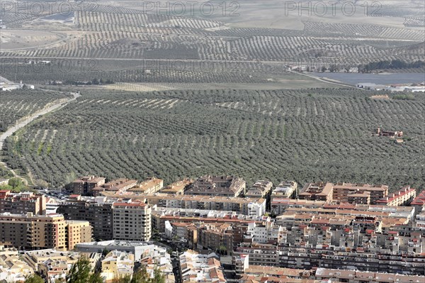 View from Castillo de Santa Catalina, modern new buildings, partial view of Jaen, Andalusia, panoramic view of a city with surrounding olive groves and hilly landscape, Granada, Andalusia, Spain, Europe